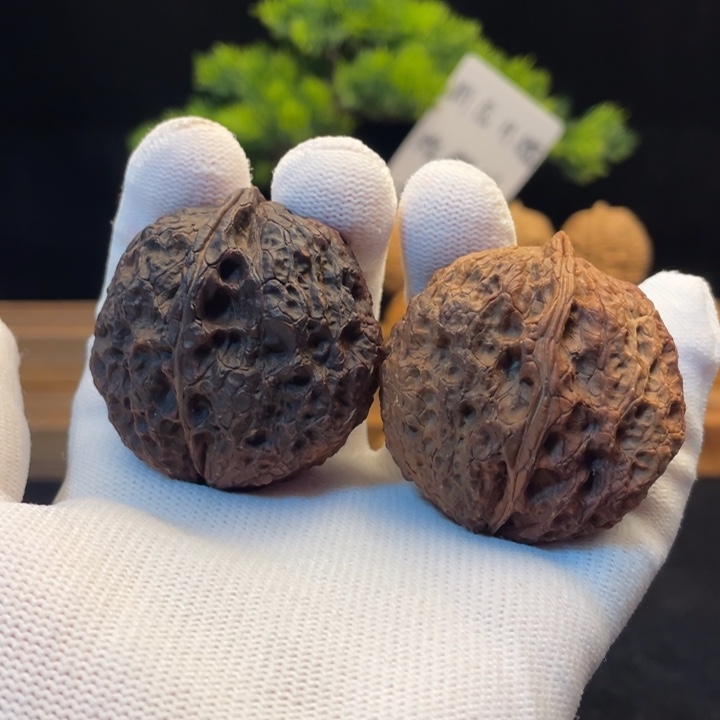 文玩核桃把件云南铁核桃9