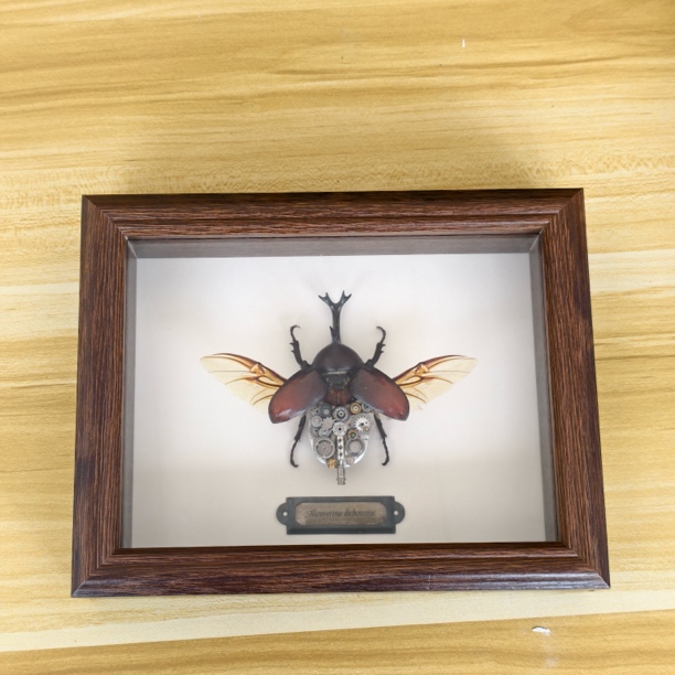 独角仙标本机甲风格手工制作8寸一图独特昆虫标本