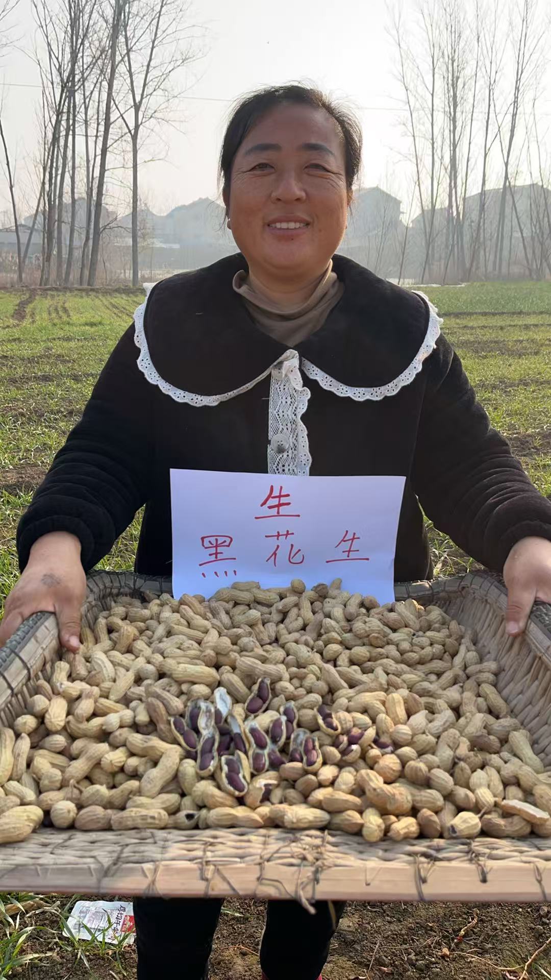 【棍哥推荐】带壳  生  黑皮花生