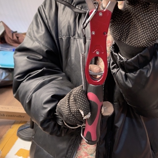 控鱼器随机发颜色