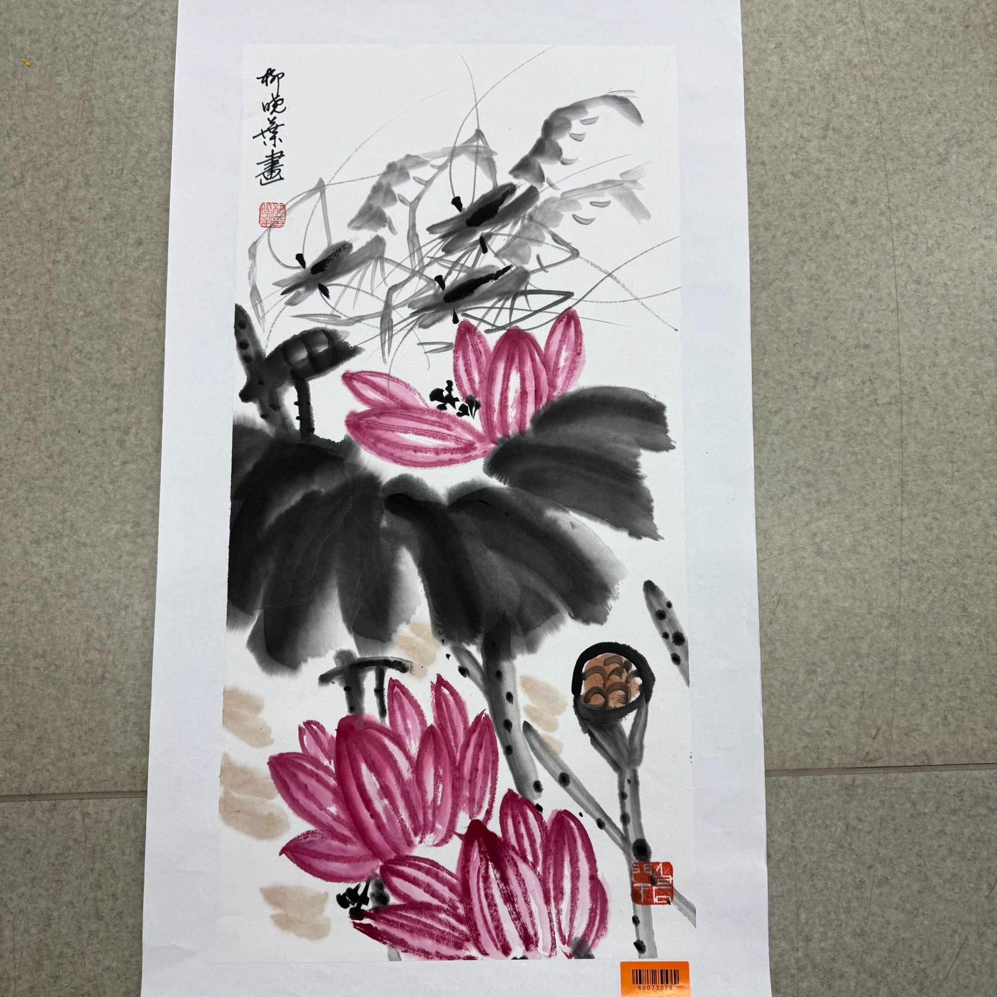 柳晓叶绘画2pc虾