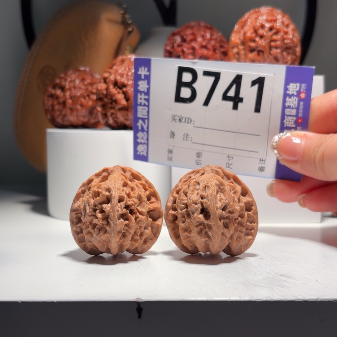 文玩核桃吊坠741号-逸捻橙皮苹果园A -尺39