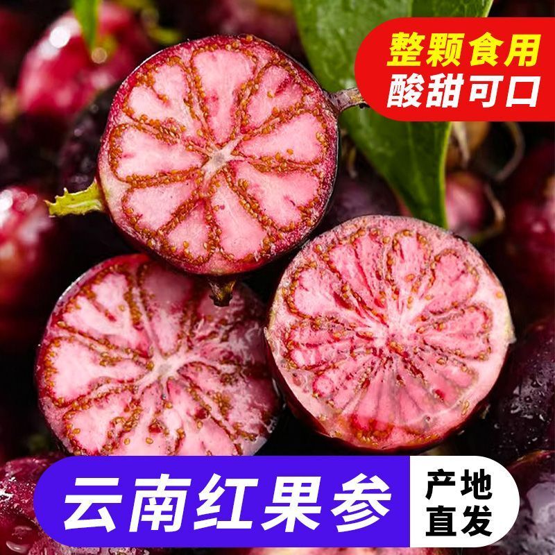 【云南红果参】高山新鲜现摘红参果蜘蛛果高原水果酸甜多汁算盘果商品图