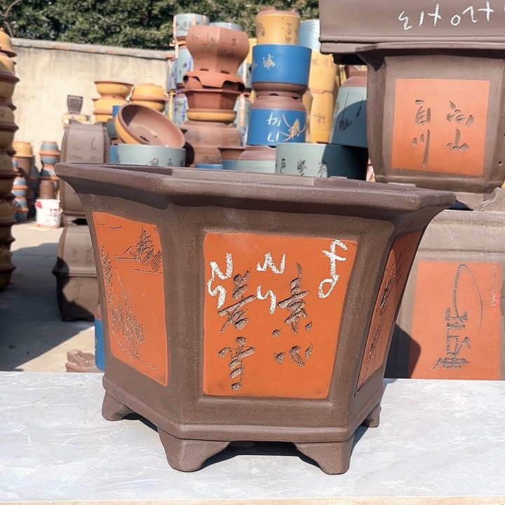 紫砂紫砂花盆盆栽