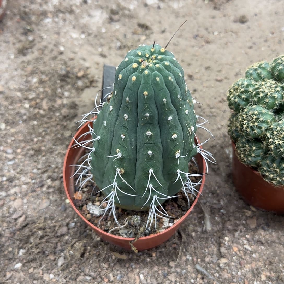 花花花花花花花花花花