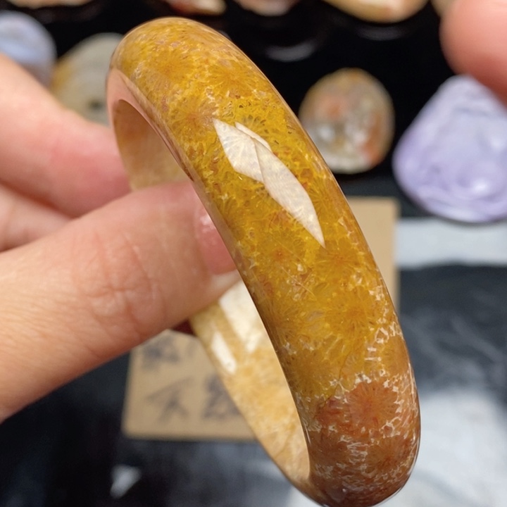 硅化珊瑚（珊瑚玉）手镯未镶嵌53.4