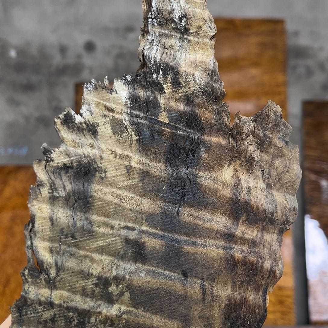 家有hj万两 不如楠木一方