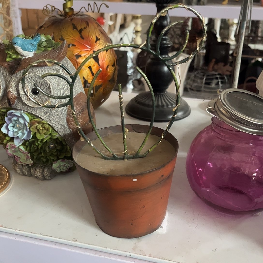 红陶福利特价不退不换