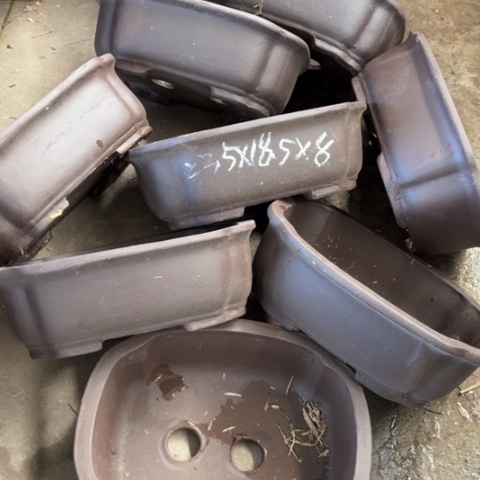 100-8。     微瑕23.5-18.5-8