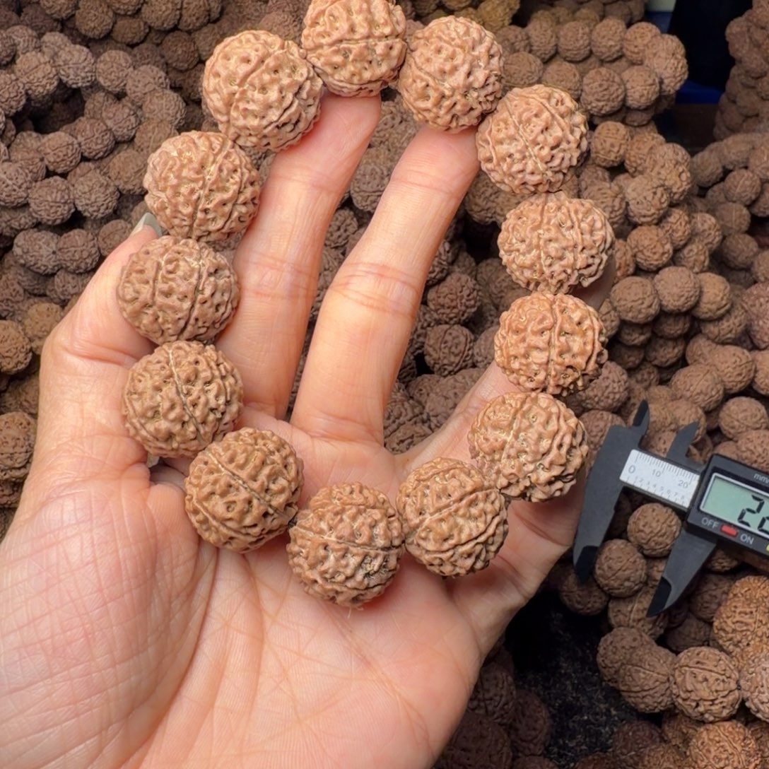 金刚菩提手串8瓣卡20尺，49号