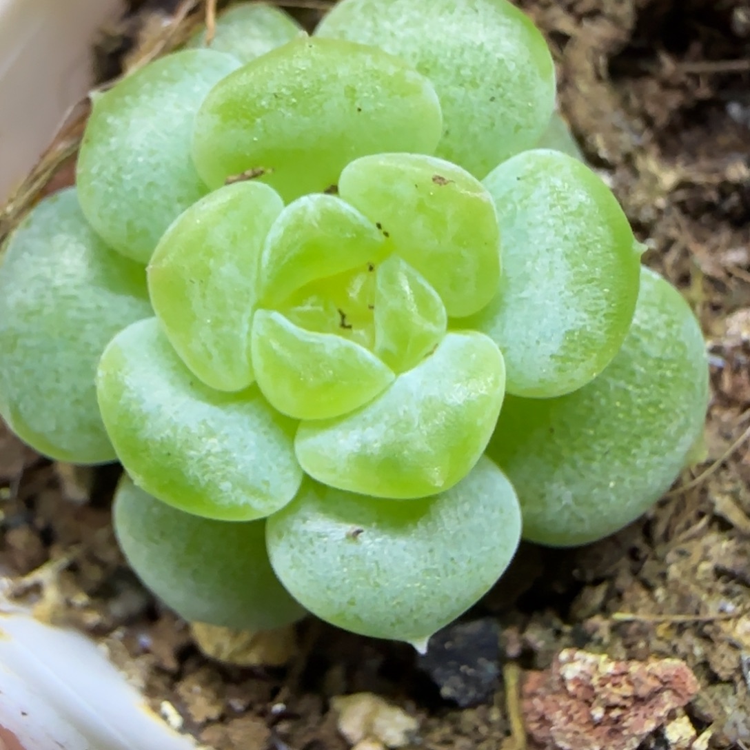 263 一物一拍 满20包邮