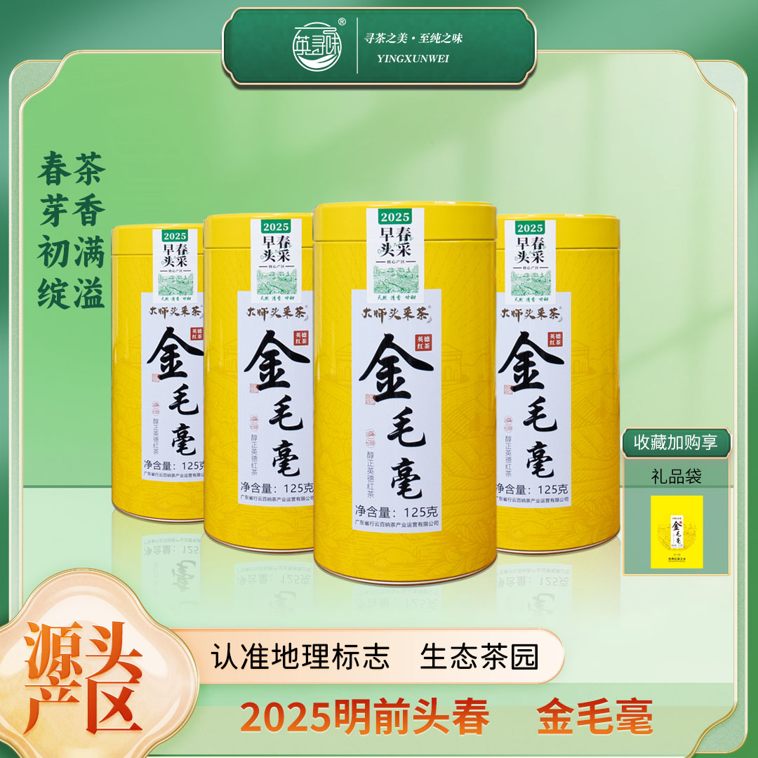 2025年英红九号金毛毫明前大师茶头春头采红茶茶叶送礼罐装