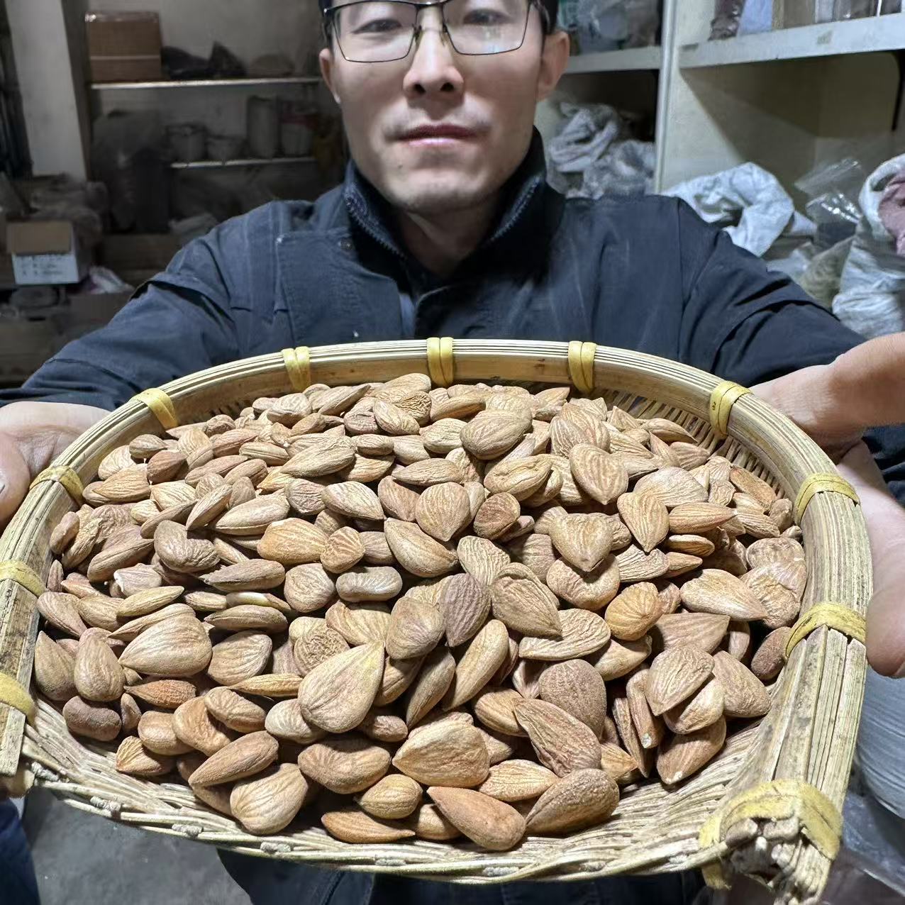 甜杏仁 南杏仁 甘肃甜杏仁 香杏仁 种植的