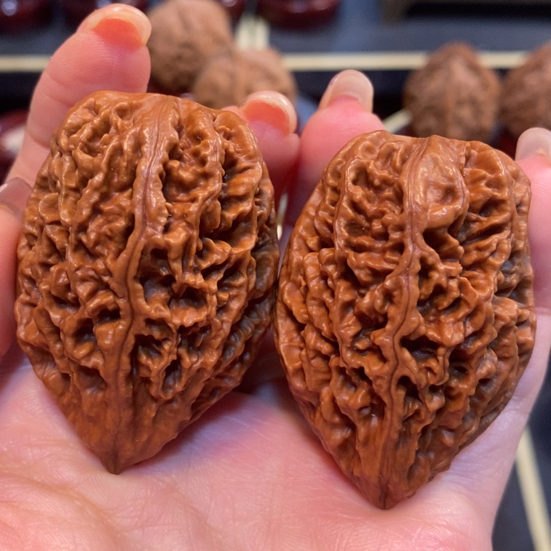 文玩核桃吊坠绝迹红珊瑚