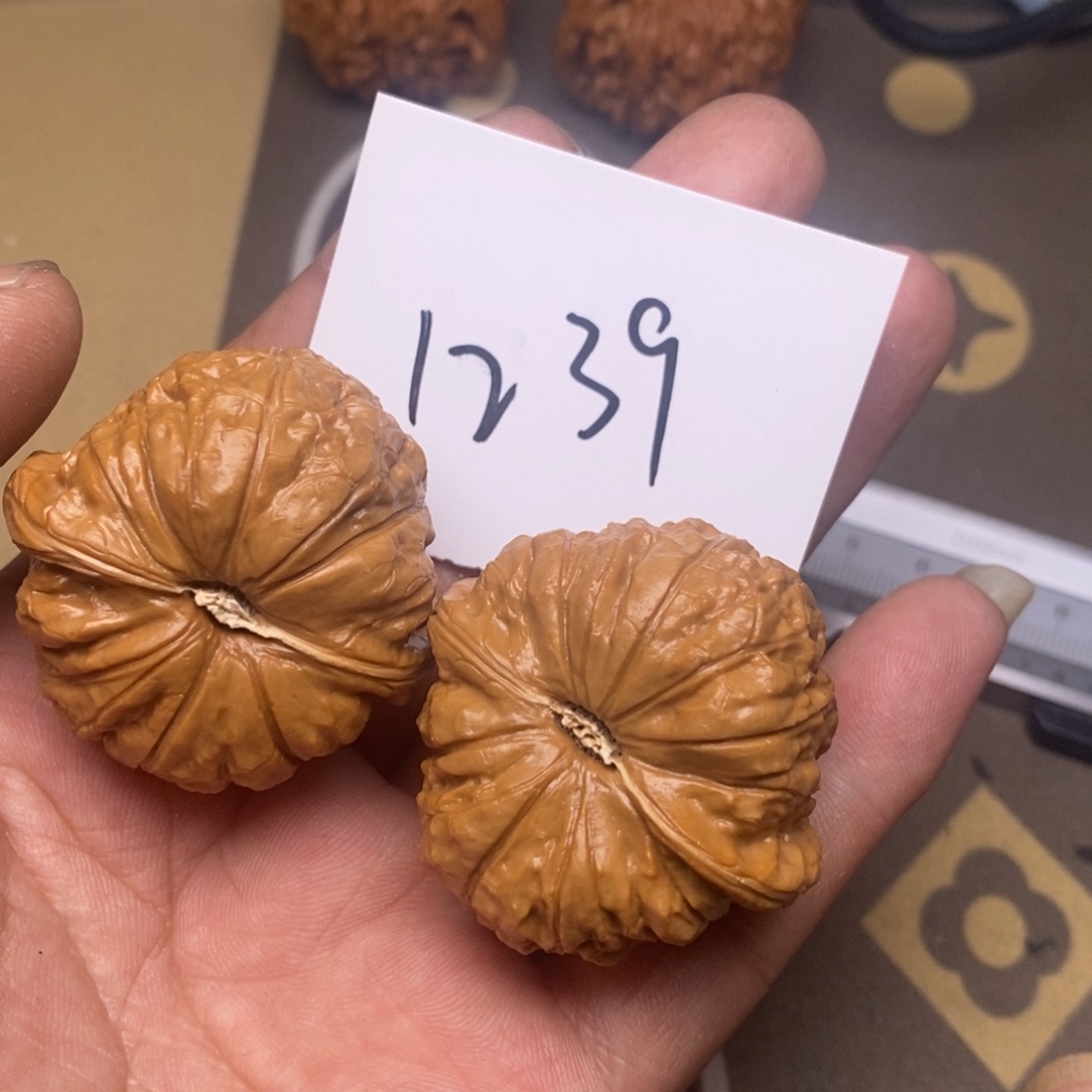 核桃南瓜蹲尺寸42