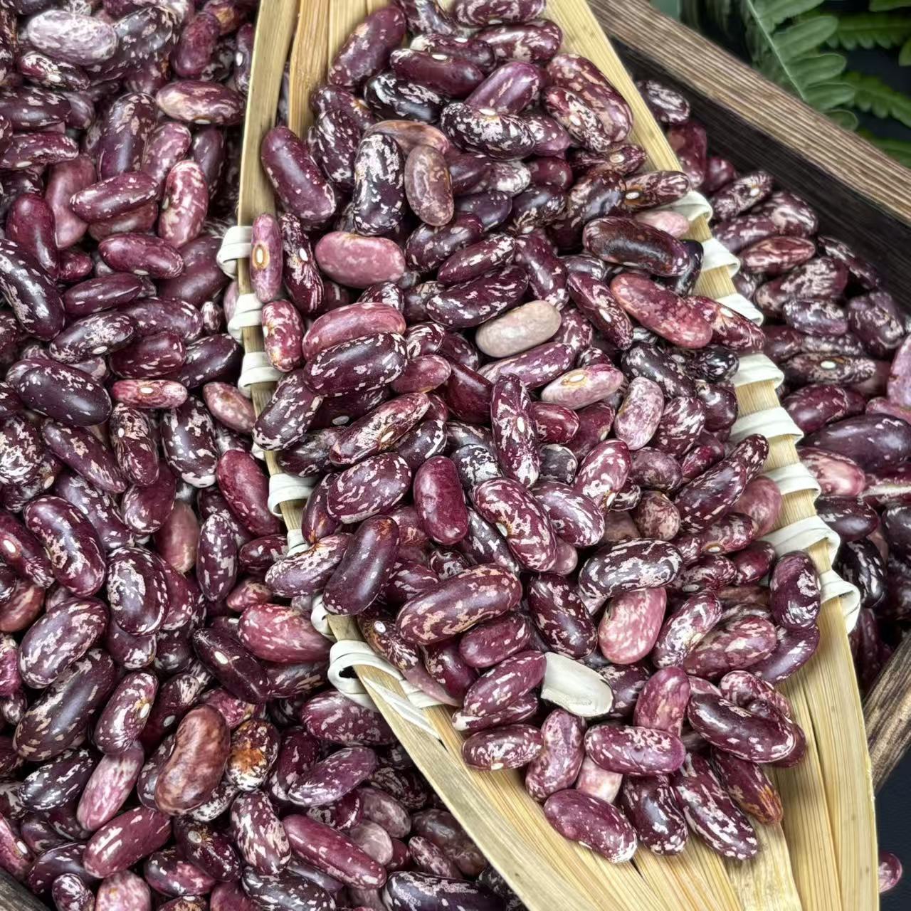 贵州新花豆云豆芸豆新花豆子四季豆农家四季豆米1000g颗粒饱满