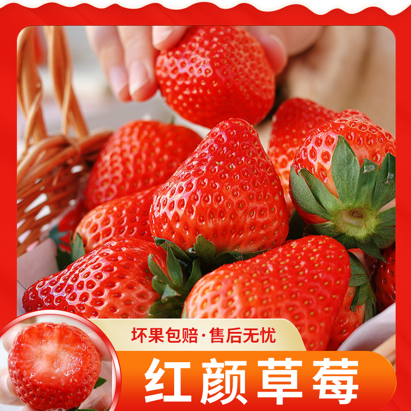 【遊园果纪】辽宁红颜草莓1.5斤装丹东99草莓 顺丰空运/京东空运