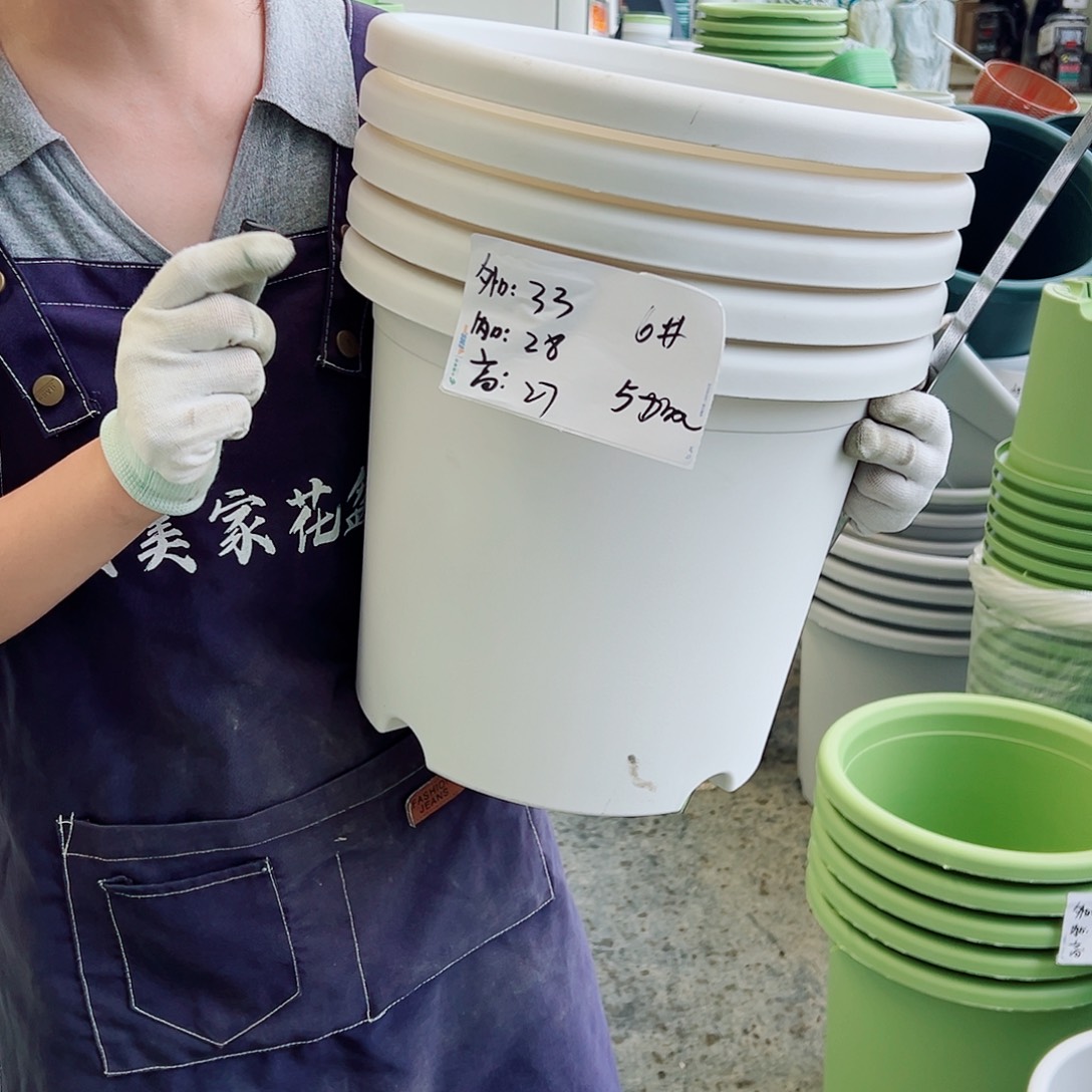 四季盆6#白色5个无托