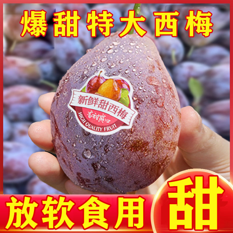 【顺丰包邮】正宗新疆大西梅鲜果酸甜多汁蓝蜜甜西梅新鲜应季水果王