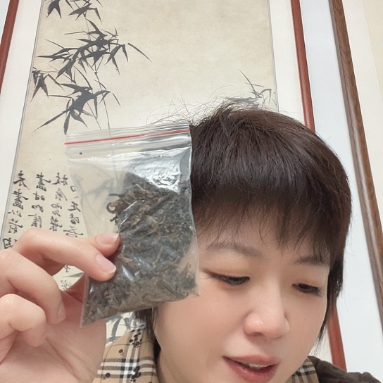 国画破茧 试喝生普