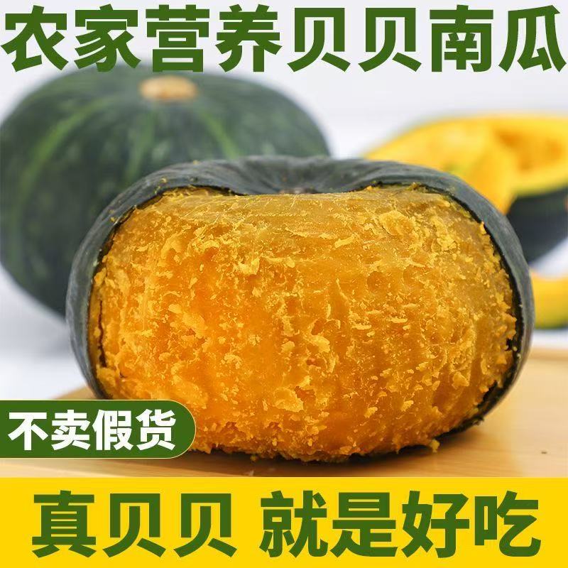 【刘三姐专属】正宗贝贝南瓜新鲜南瓜粉糯香甜