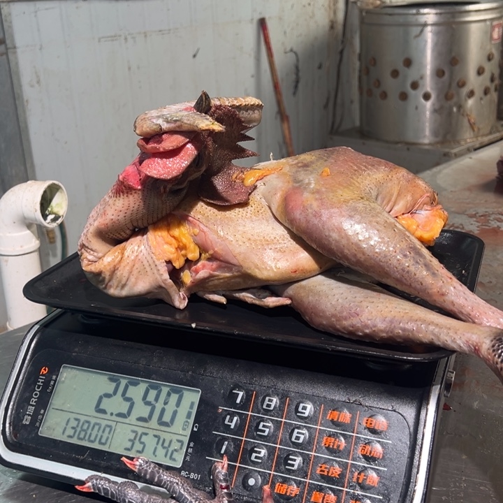 一号土鸡食用农产品中国大陆3***哇