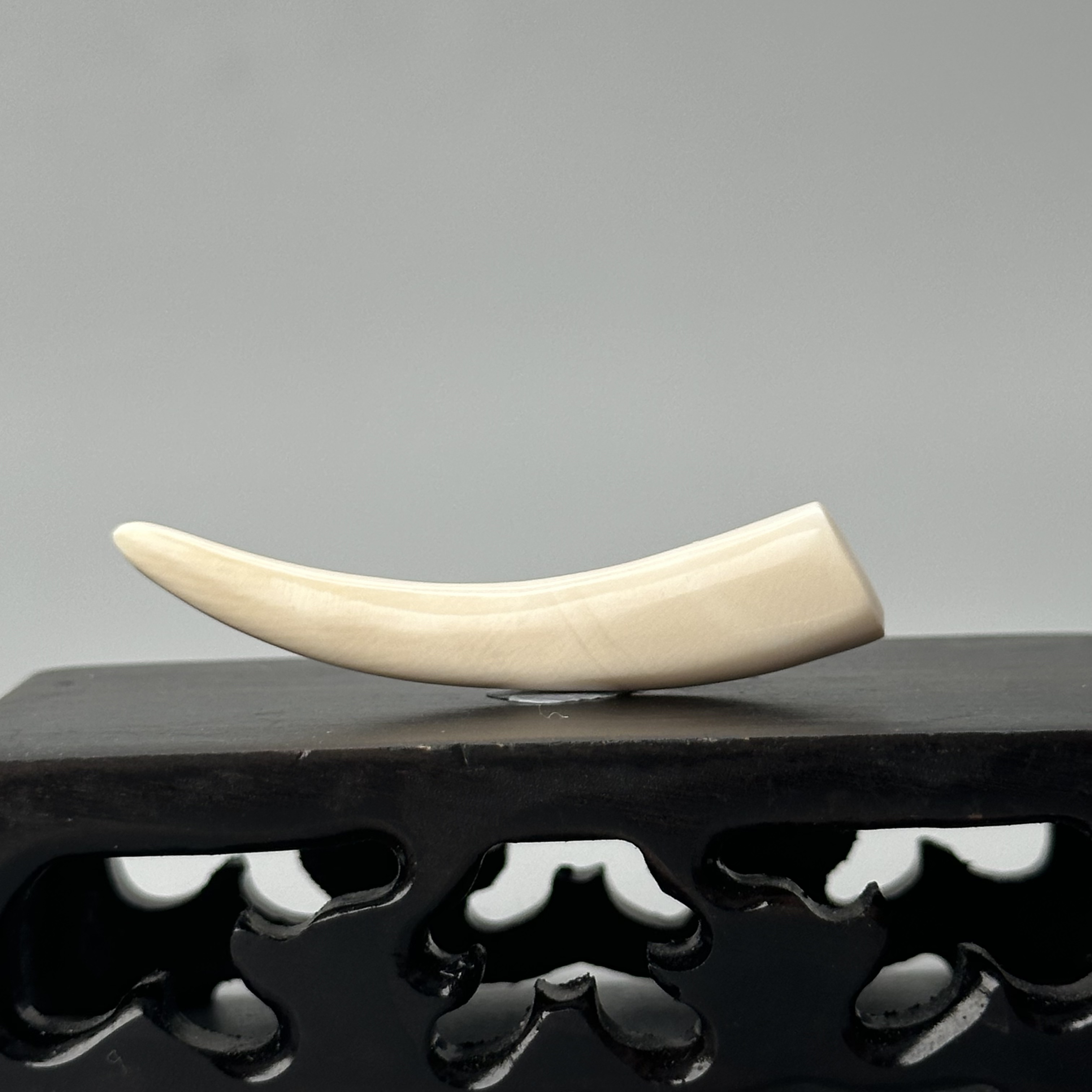 DEZHI/德志2.4g纯肉牙尖48*9*7mm天然猛犸牙默认打孔绑绳P244