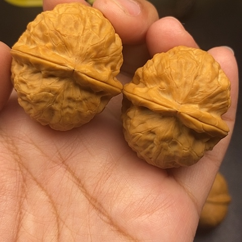 文玩核桃把件39尺金龟