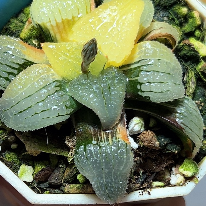 恭喜发财大吉大利0233