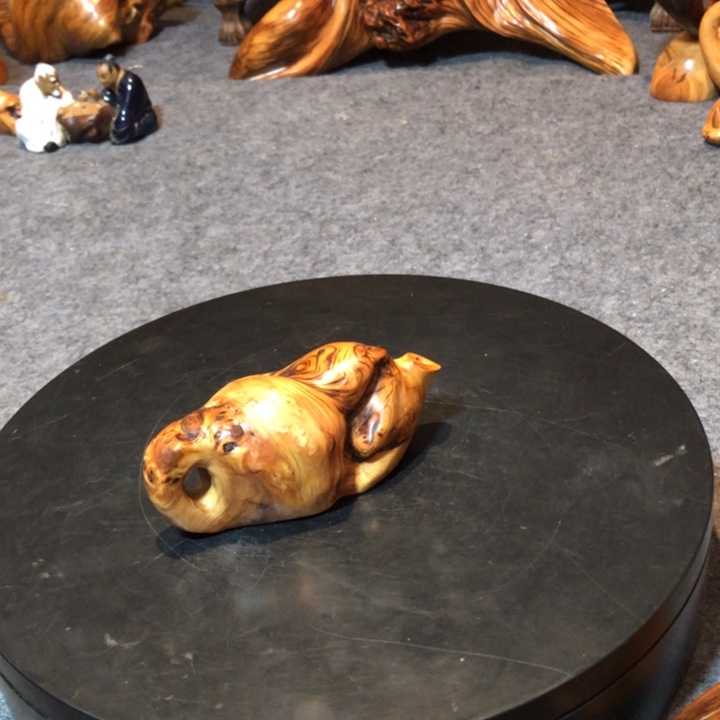 柏木（崖柏）小*崖柏12