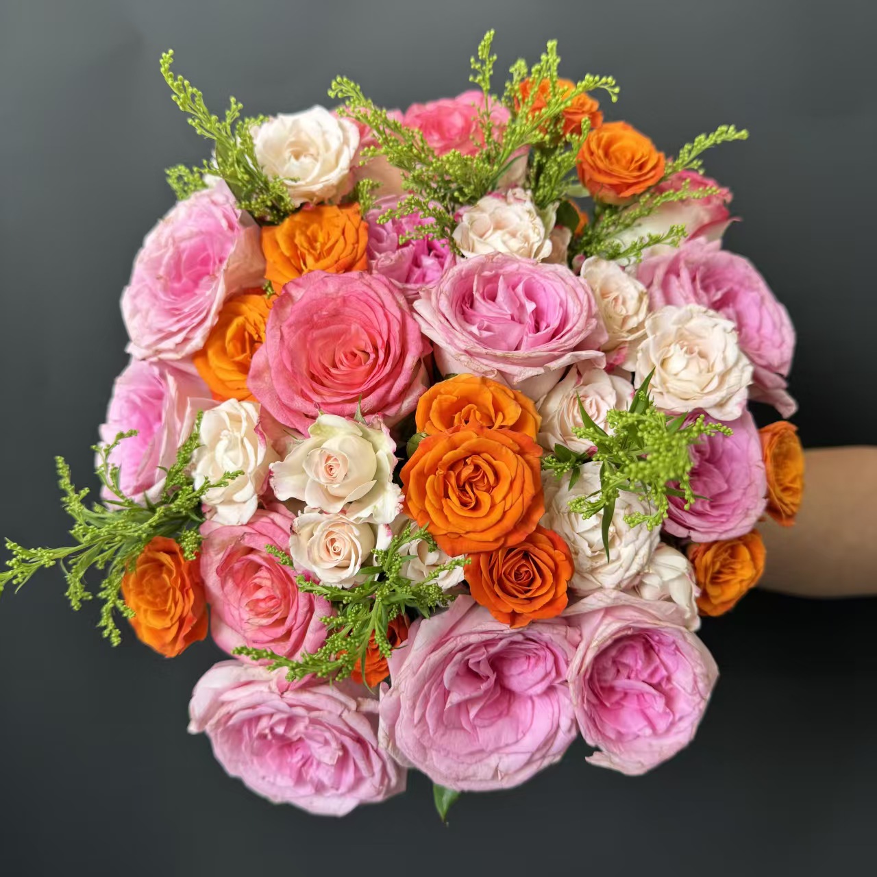 【艾乐之橙】洛神10枝+艾莎5枝+橙芭比5枝+折射5枝+1份配草