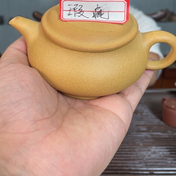 茶壶紫砂哈哈哈哈哈这个综艺节目真的