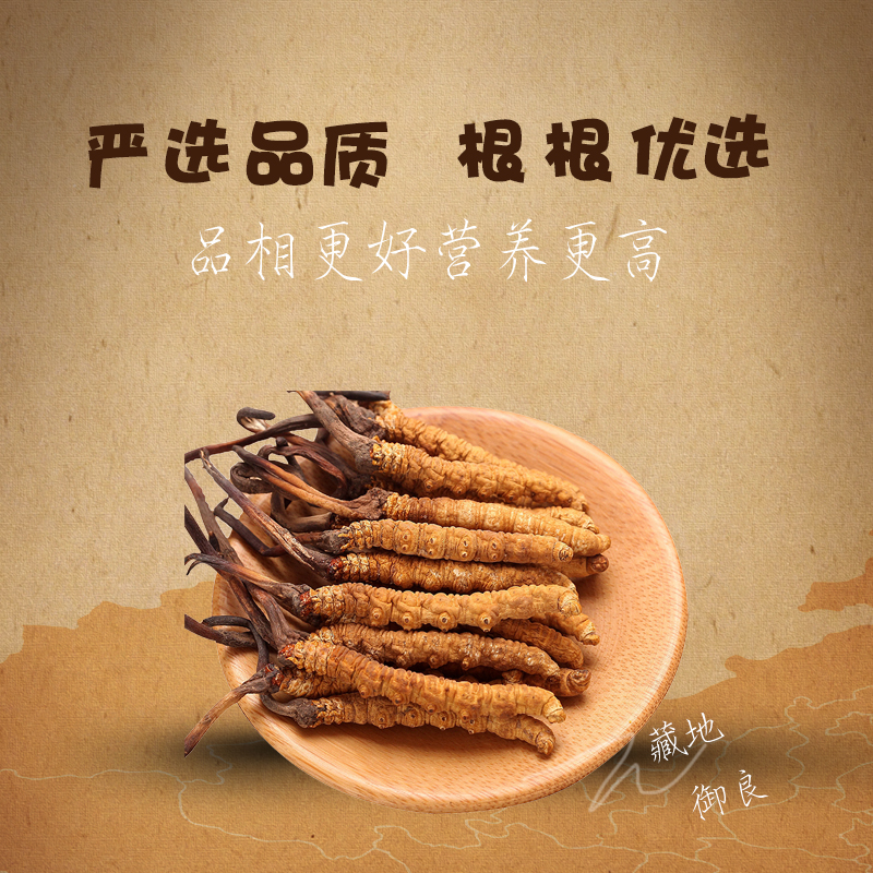 【藏地御良严选】3根每克精选冬虫夏草那曲精品那曲头茬小黄芽