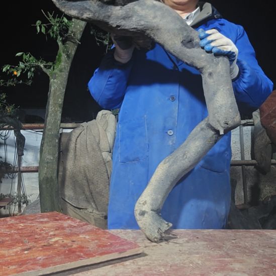 无***人当前无花朵，栽培后可花朵山里人家盆景园