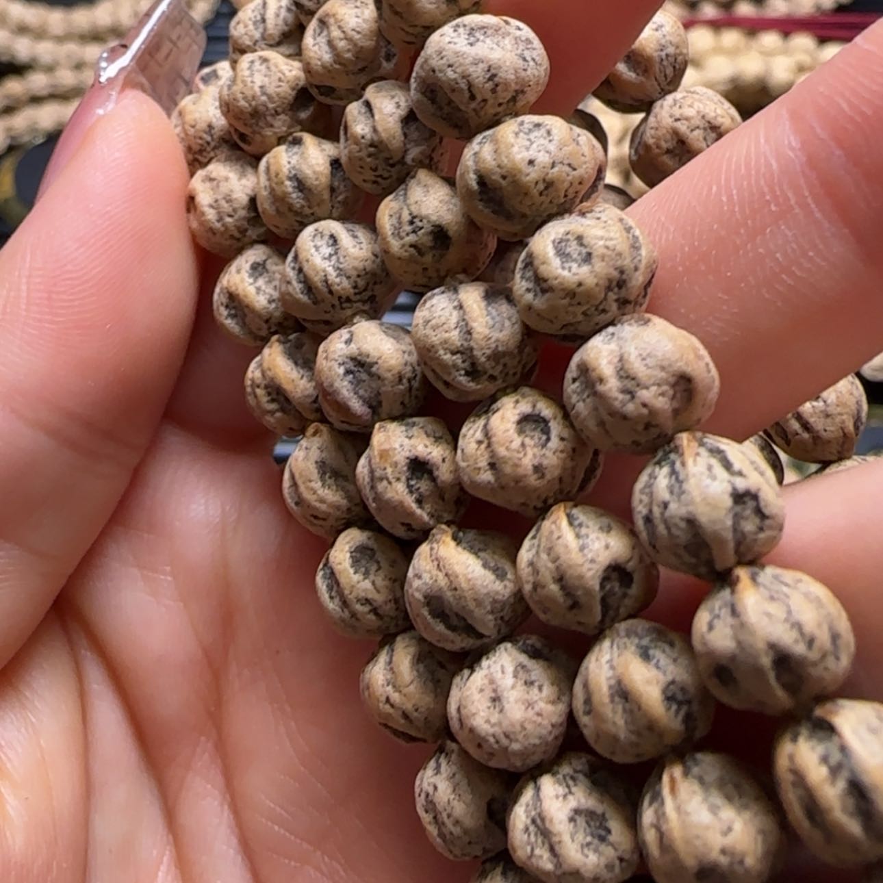 【闪购商品】柏香籽/百香籽吊坠嘉**模