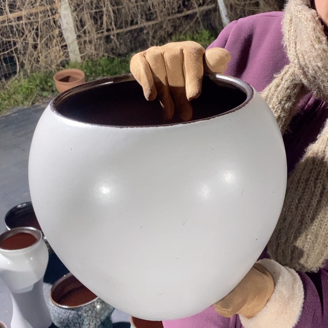 红陶口20高22～～～