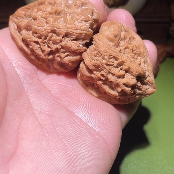 N***g39全品精配对野牛