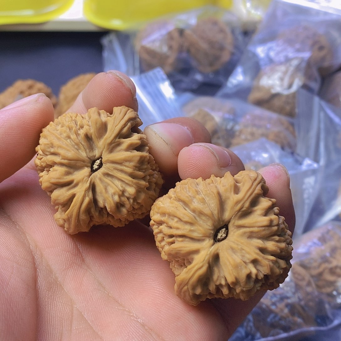 記*?文玩核桃南疆石编号005