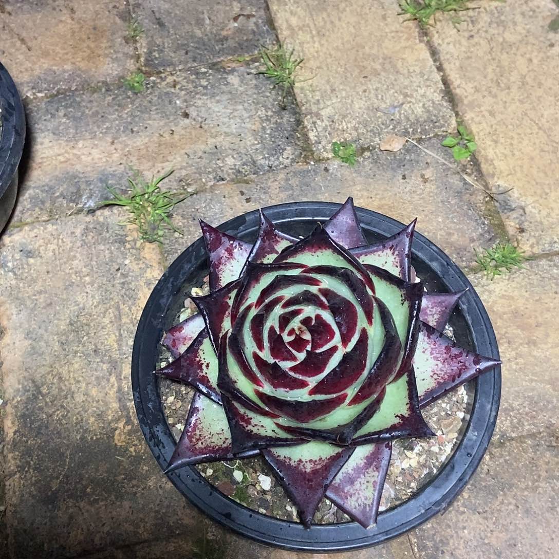 董***)福利特价友情价老朋友