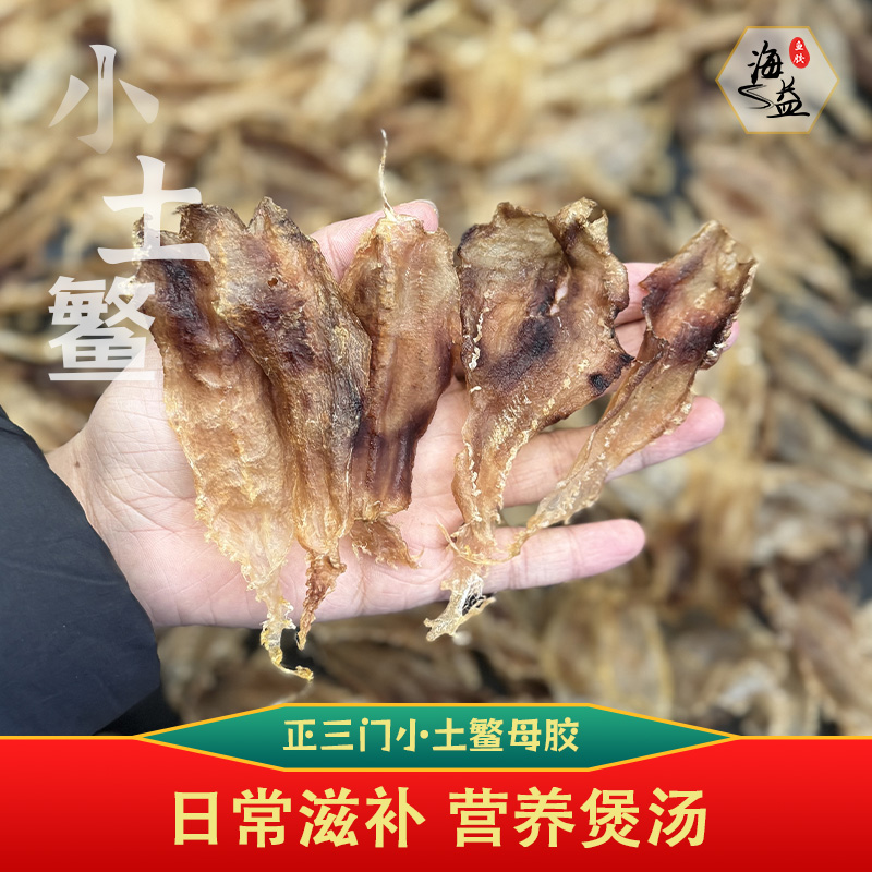 小土鳘 正三门小土鳘母胶 鱼胶花胶