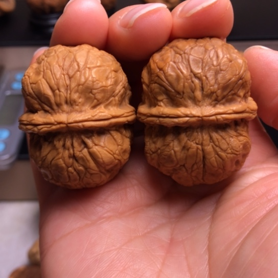 文玩核桃把件玄武元宝12