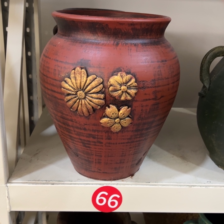 19.9-1高26口18红卡大蒜