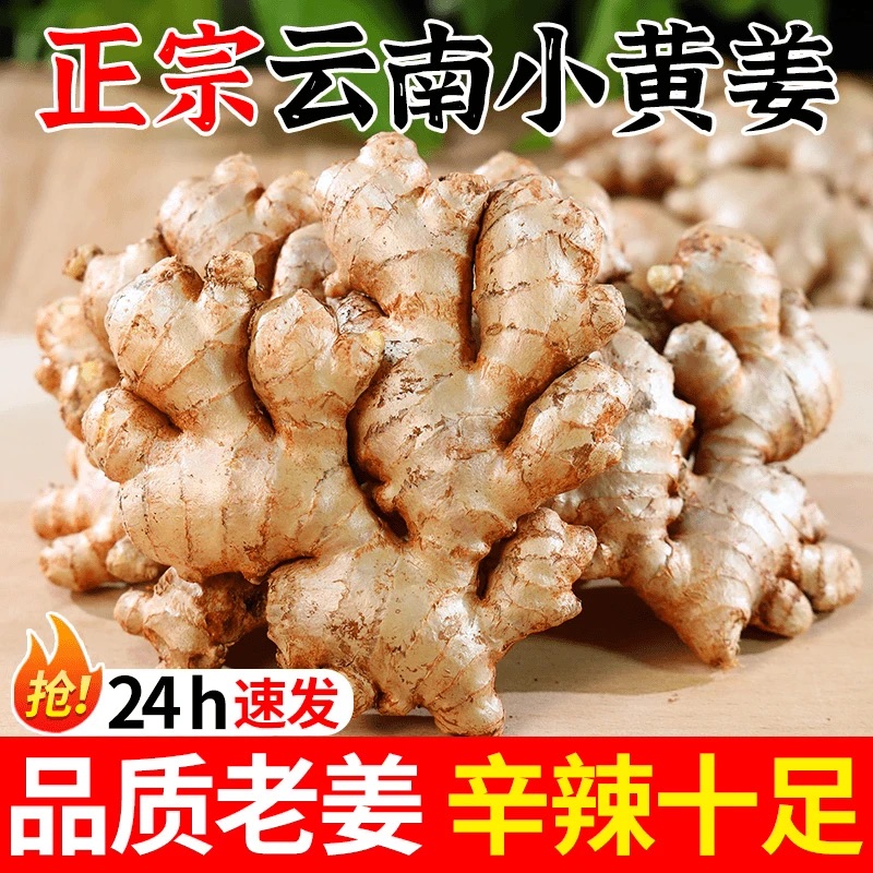 正宗云南小黄姜山地种植香味浓郁辛辣适中2025年现挖新老姜