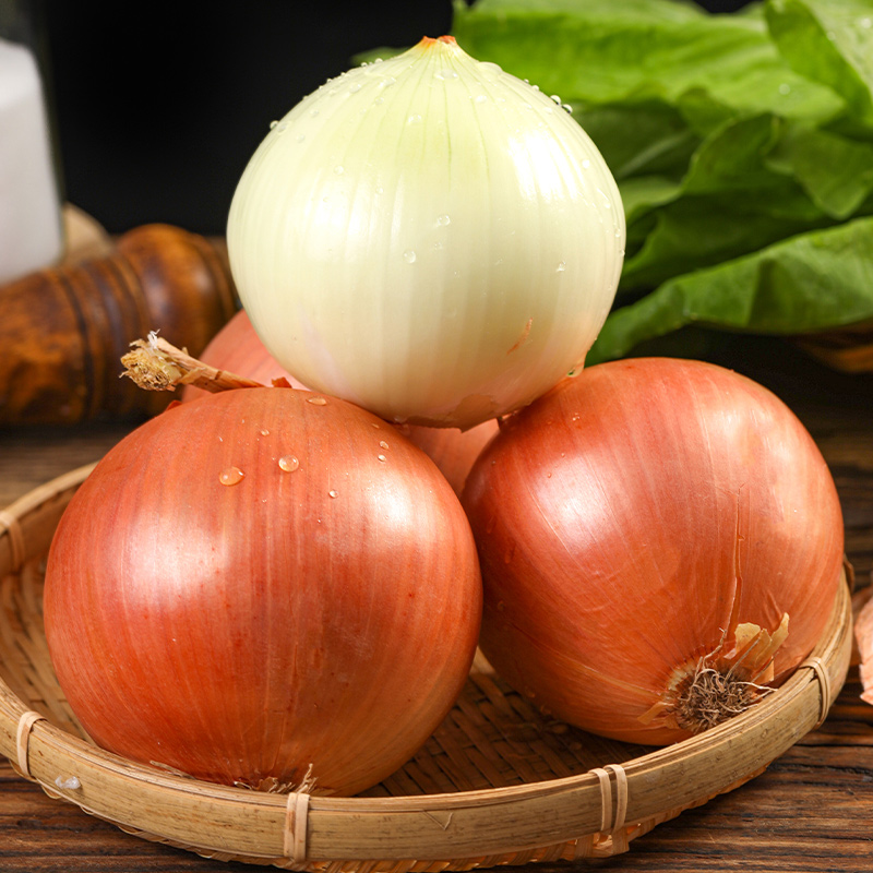  新鲜黄皮洋葱圆洋葱生吃脆甜营养蔬菜净重3/5/9斤