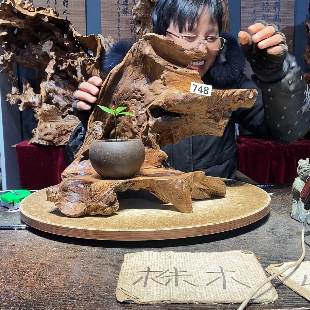 小***者748。株木随行根艺