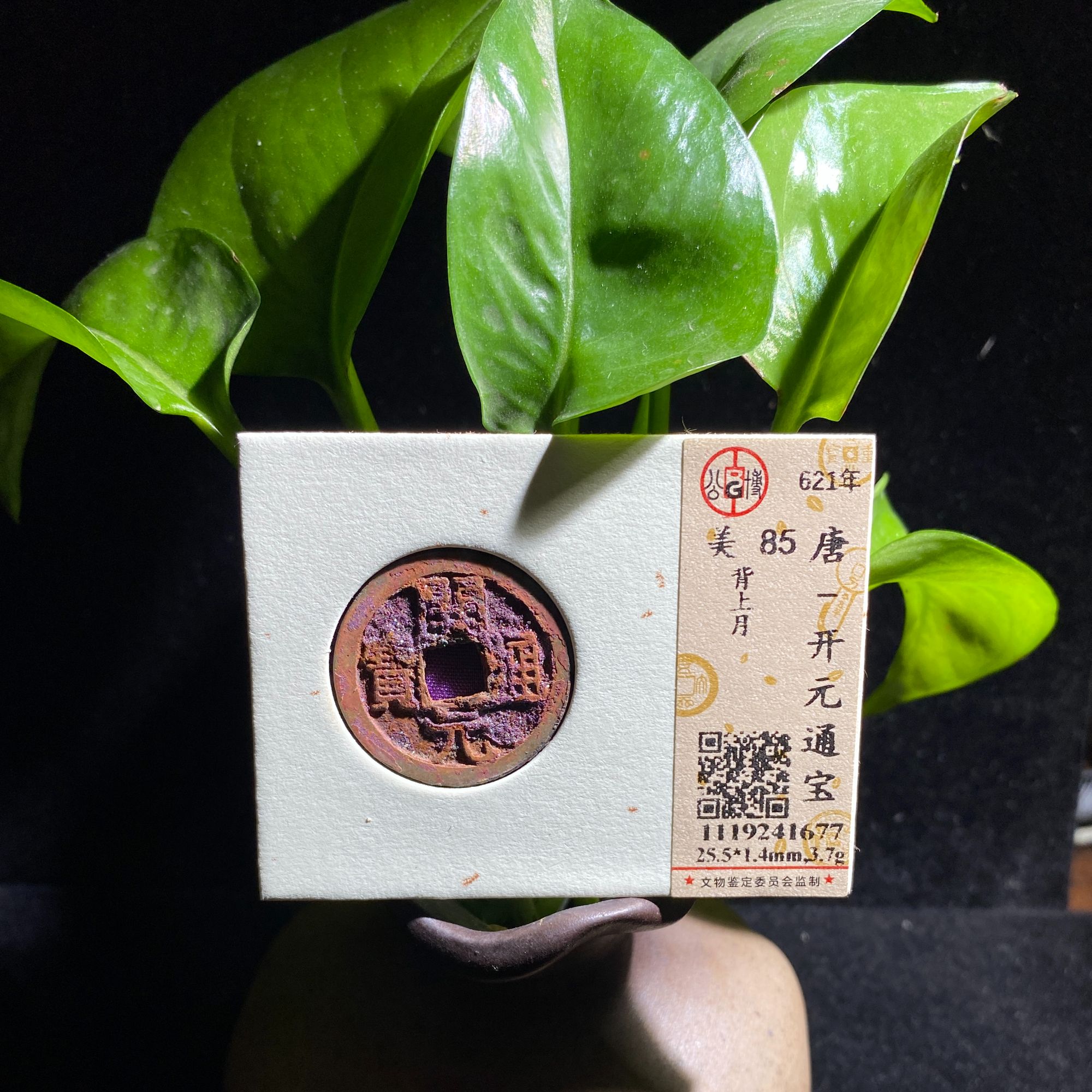 公博评级85分开元通宝一枚（1677）