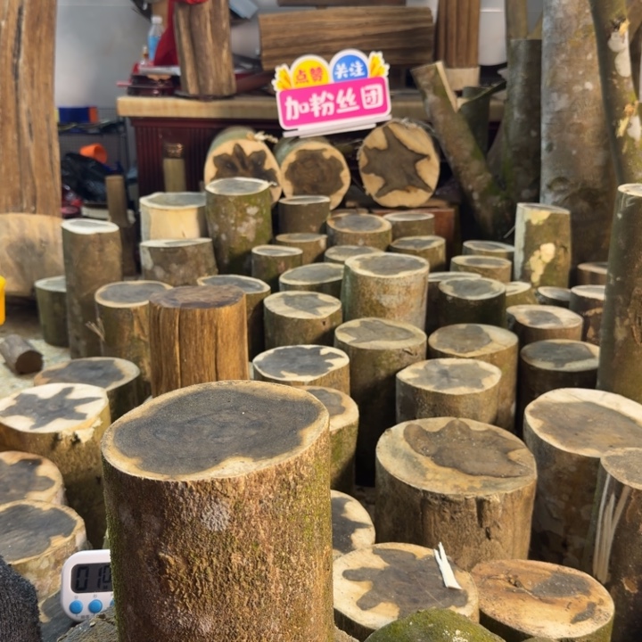 木手工DIY原木原材料