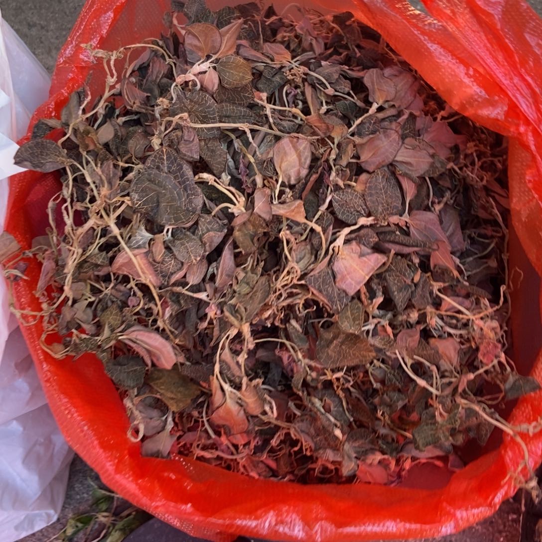 金线莲250g250g小叶山货