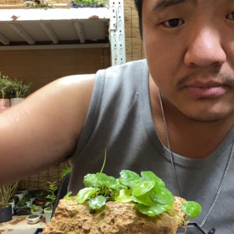 红陶一物一拍所见即所得224