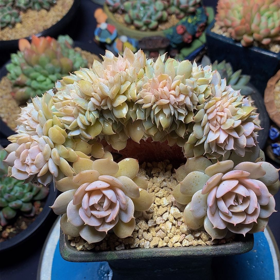 现***后哈哈哈哈哈哈哈哈哈